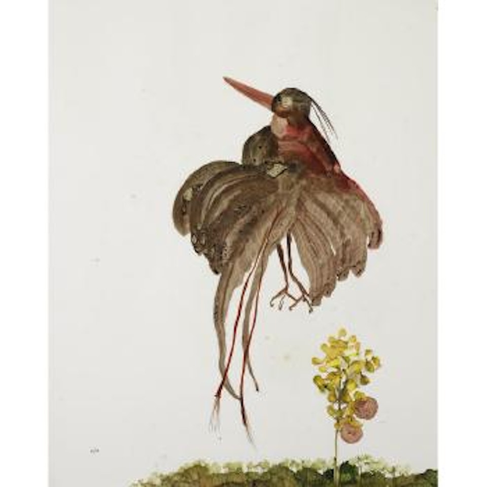 Bird by Sidney Nolan