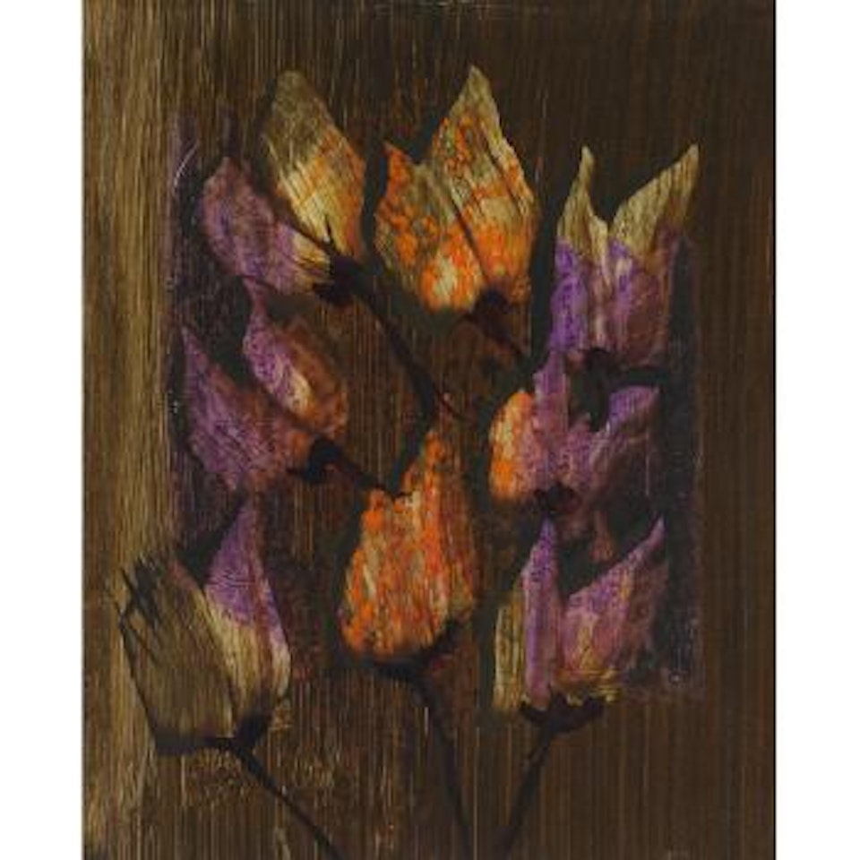 Flower study by Sidney Nolan