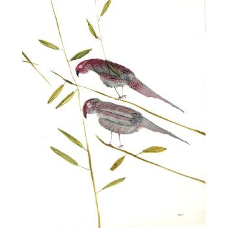 Birds by Sidney Nolan