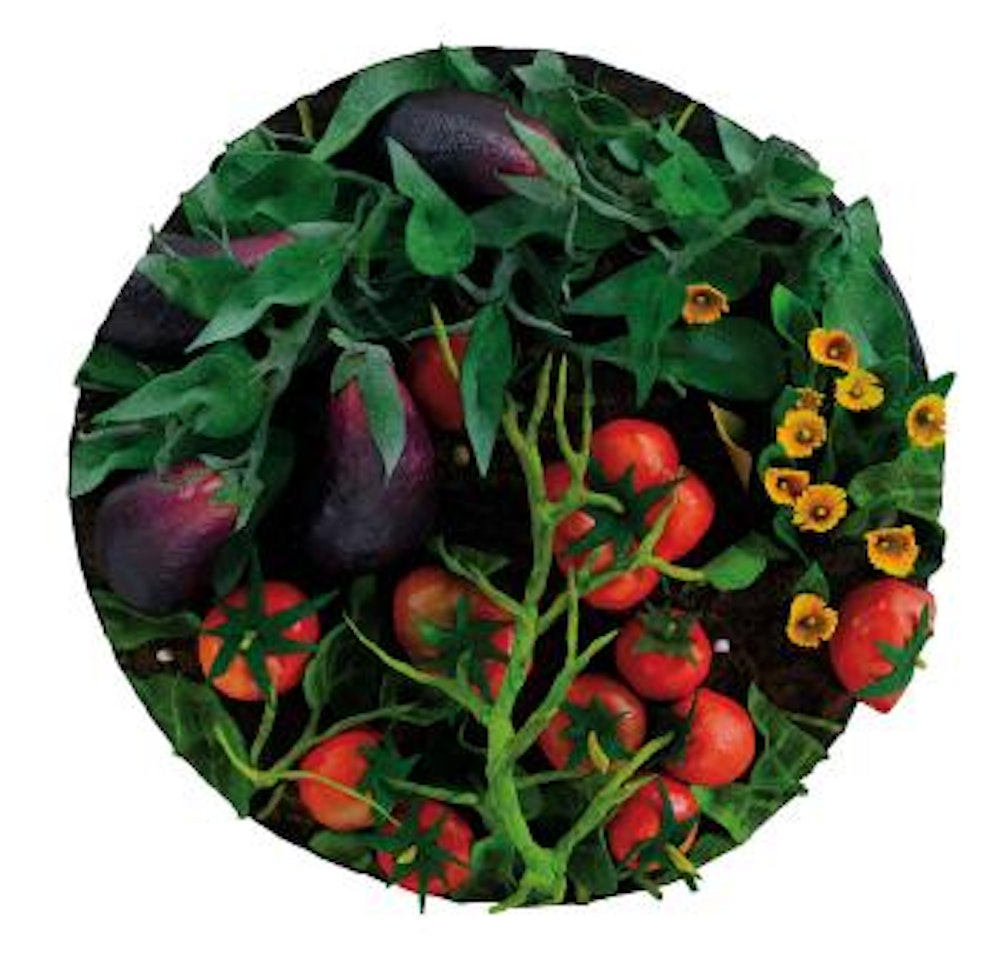 Melanzane e pomodori by Piero Gilardi