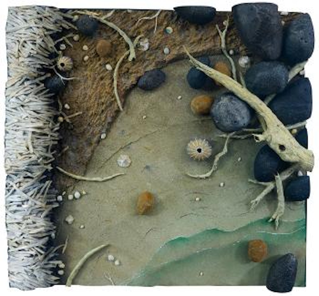 Spiaggia sarda by Piero Gilardi