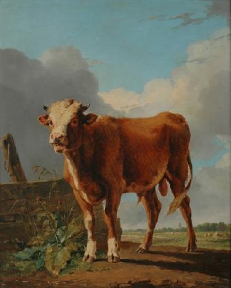 The Bull by Eugène Joseph Verboeckhoven
