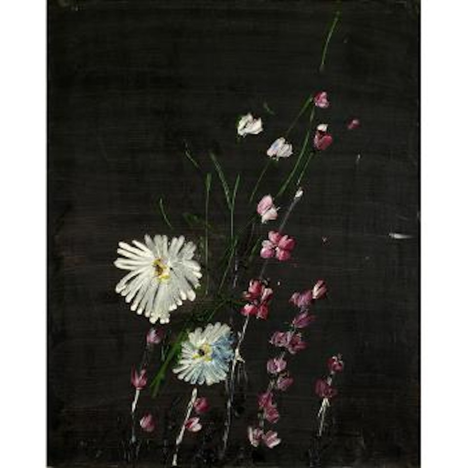 Chrysanthemums on black background by Thanos Tsingos