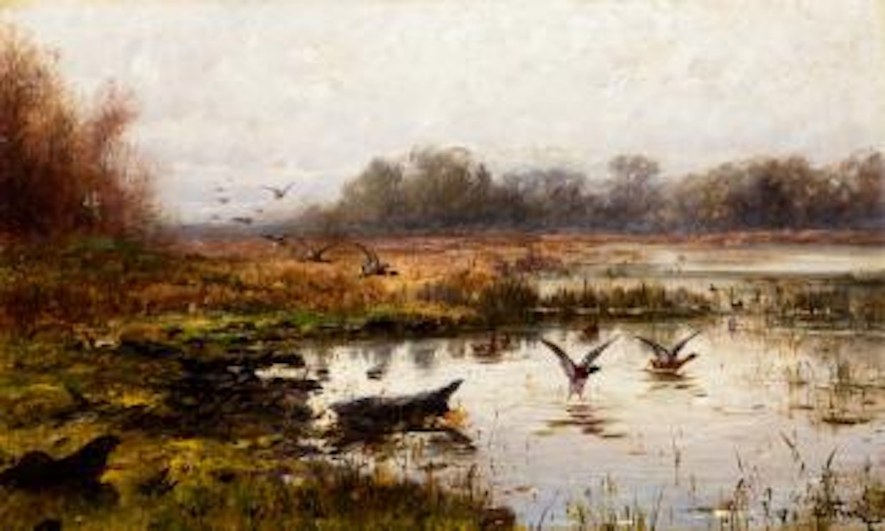 Mallards by John Fery