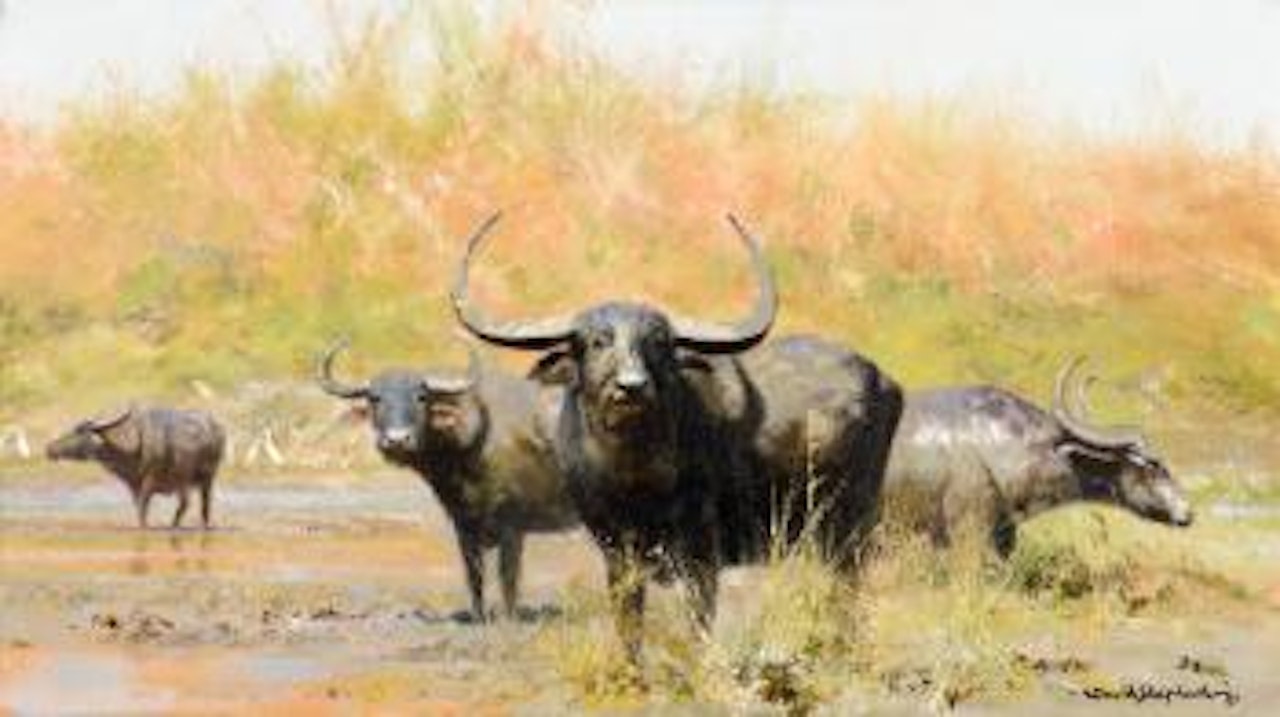 Indian Water Buffalo (1987) by David Shepherd