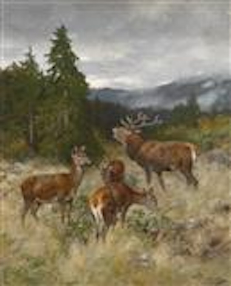 Herd of Red Deer by Josef Schmitzberger