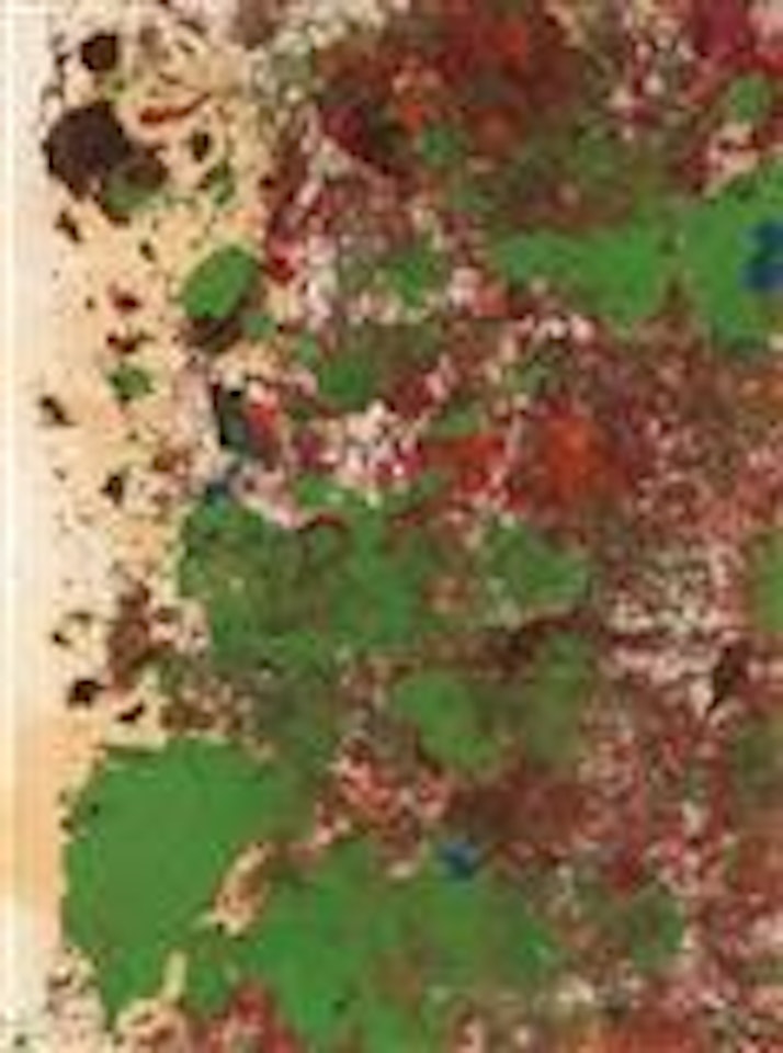 Relic of artistic action by Hermann Nitsch
