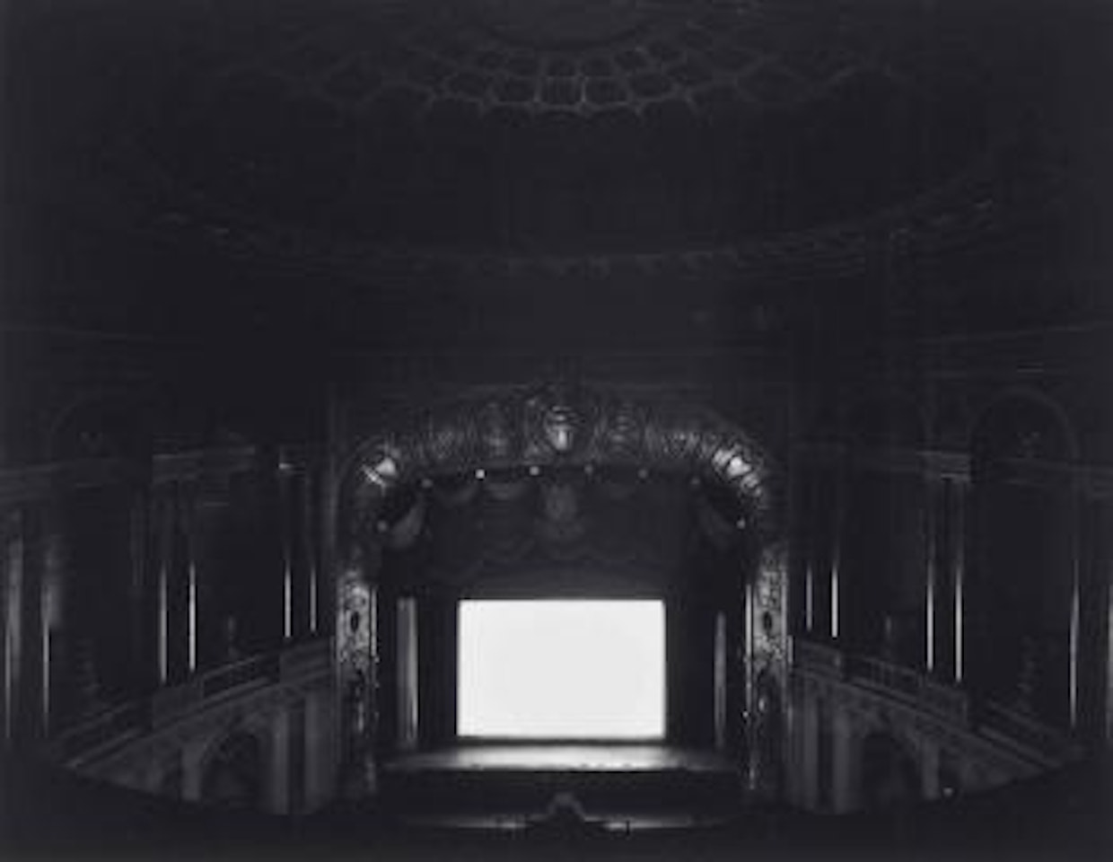 Palms, Michigan by Hiroshi Sugimoto