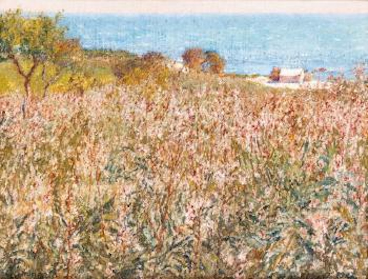 Nature en fleurs à Gammarth by Alexandre Roubtzoff