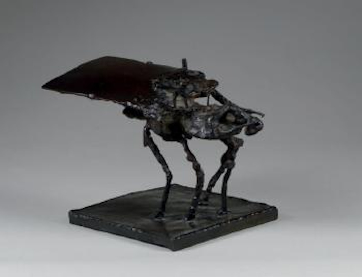 L'abeille by César