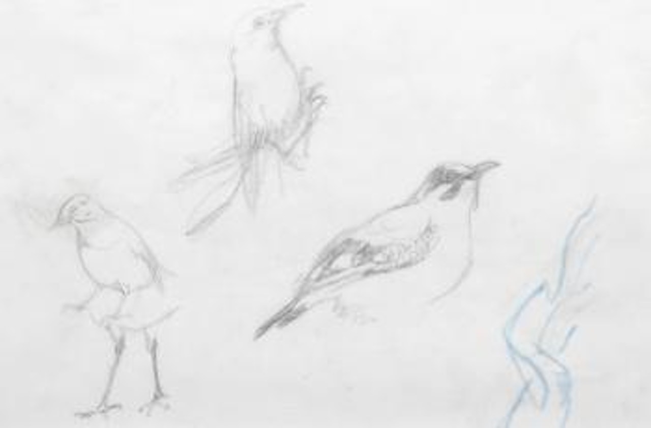 Etude d'oiseaux sur une branche by Leonard Tsuguharu Foujita