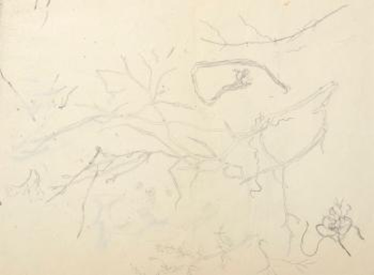 Etude de branches fleuris by Leonard Tsuguharu Foujita