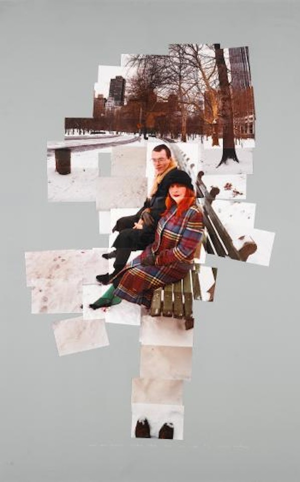 Anne And David, Central Park, N.Y. Dec 1982 by David Hockney
