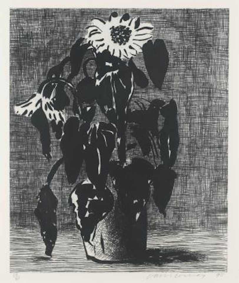 Sunflower I (Mca Tokyo 347) by David Hockney