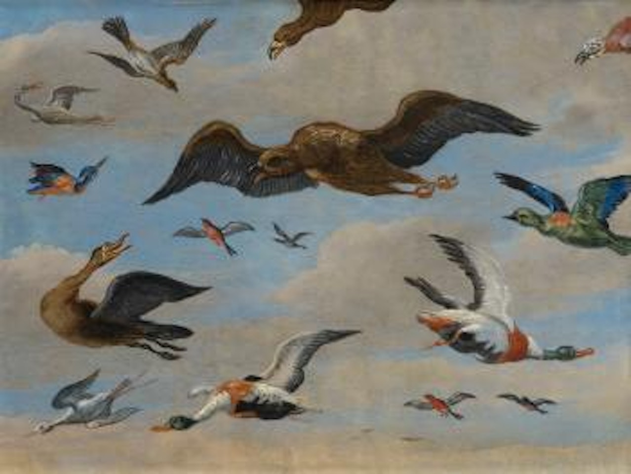 Study Of Birds On A Sky Background by Jan Van Kessel The Elder