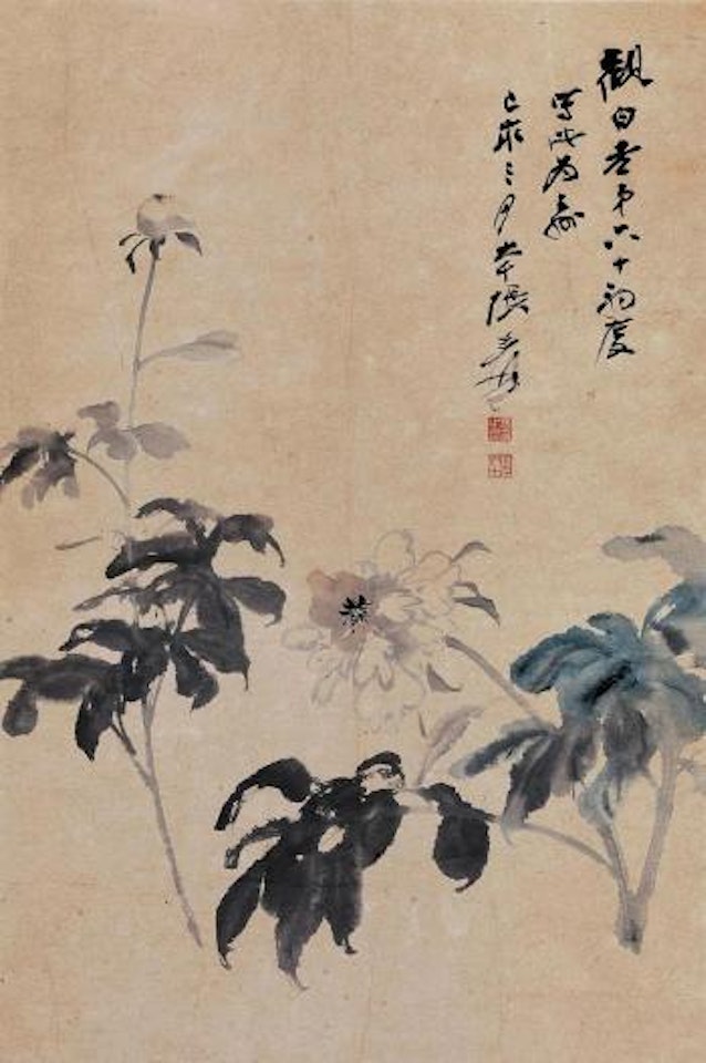 Peony by Zhang Daqian