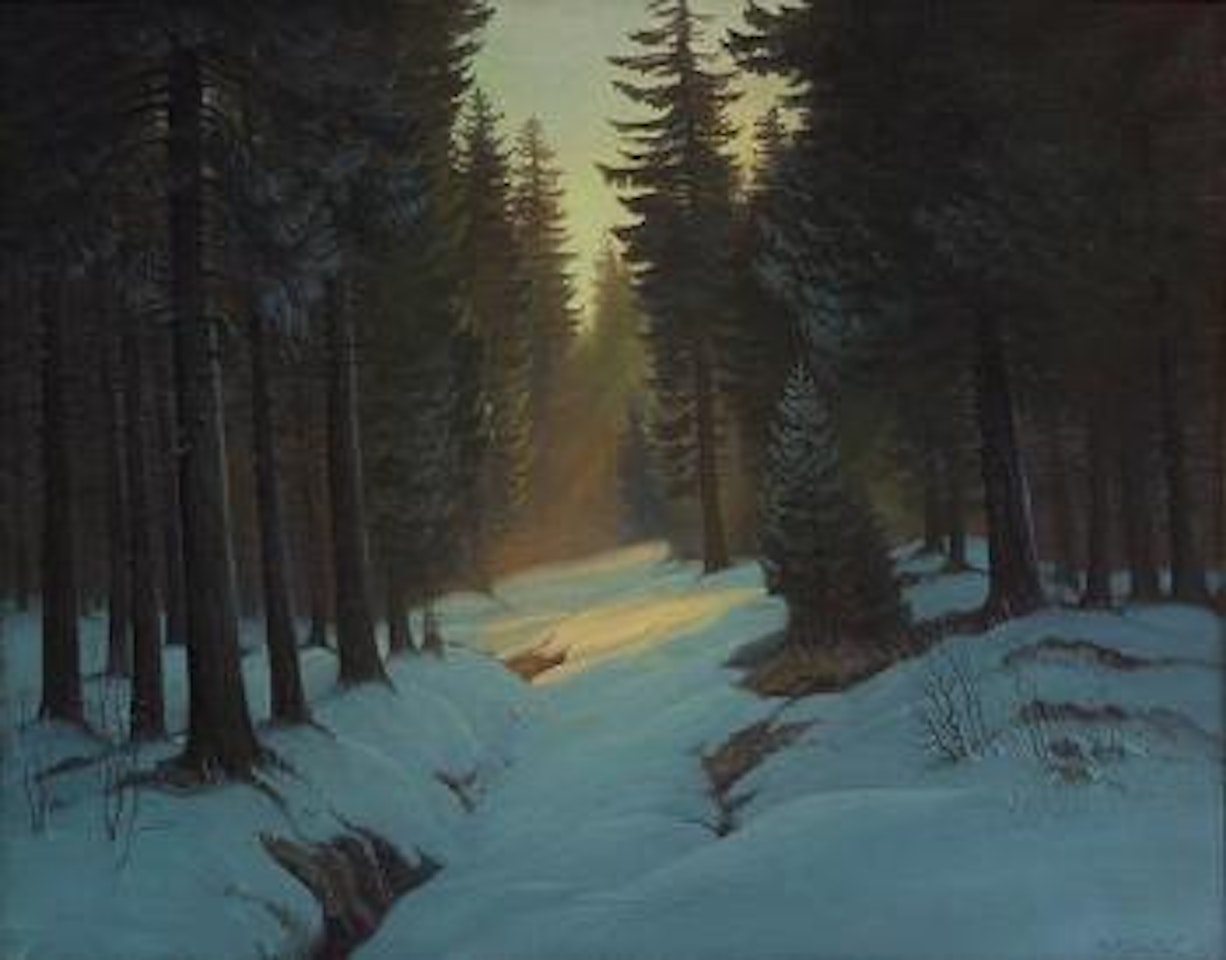 Sunlight on a snow covered forest by Ivan Fedorovich Choultse