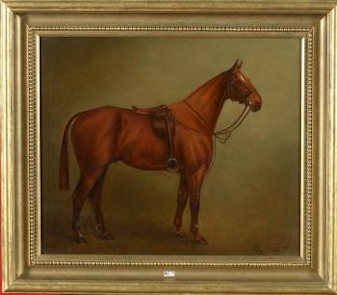 Portrait d’un cheval scellé by Herbert H Jones