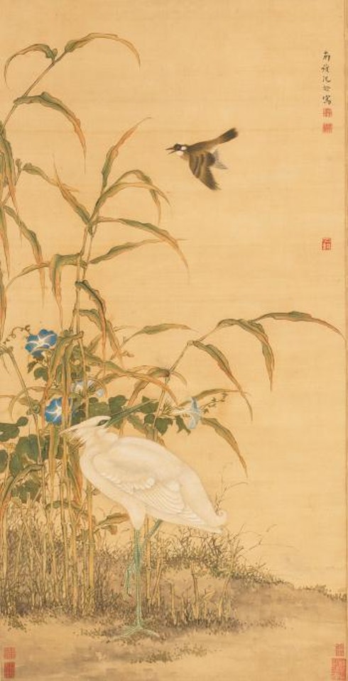 White Heron by Shen Quan