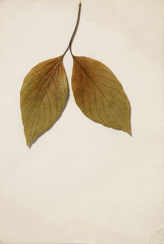 Untitled by Joseph Beuys