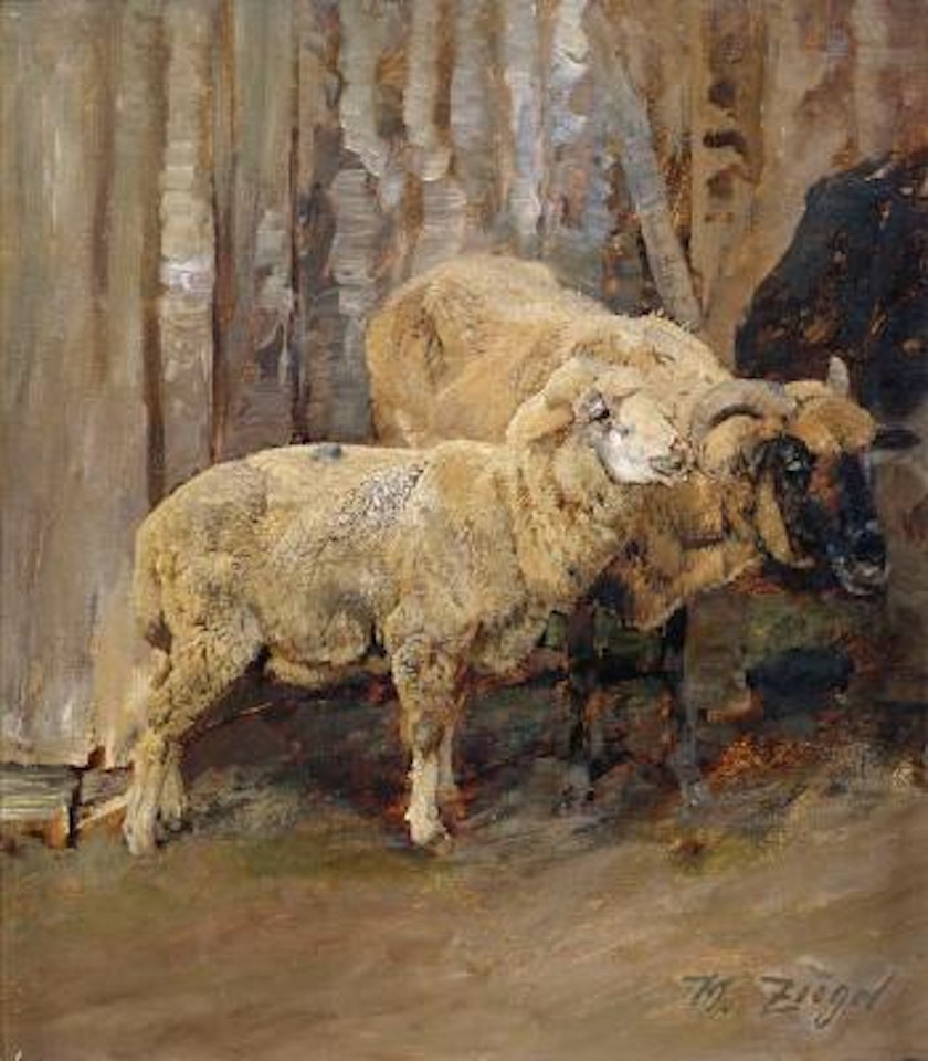 Schaf und Widder am Stall by Heinrich von Zugel