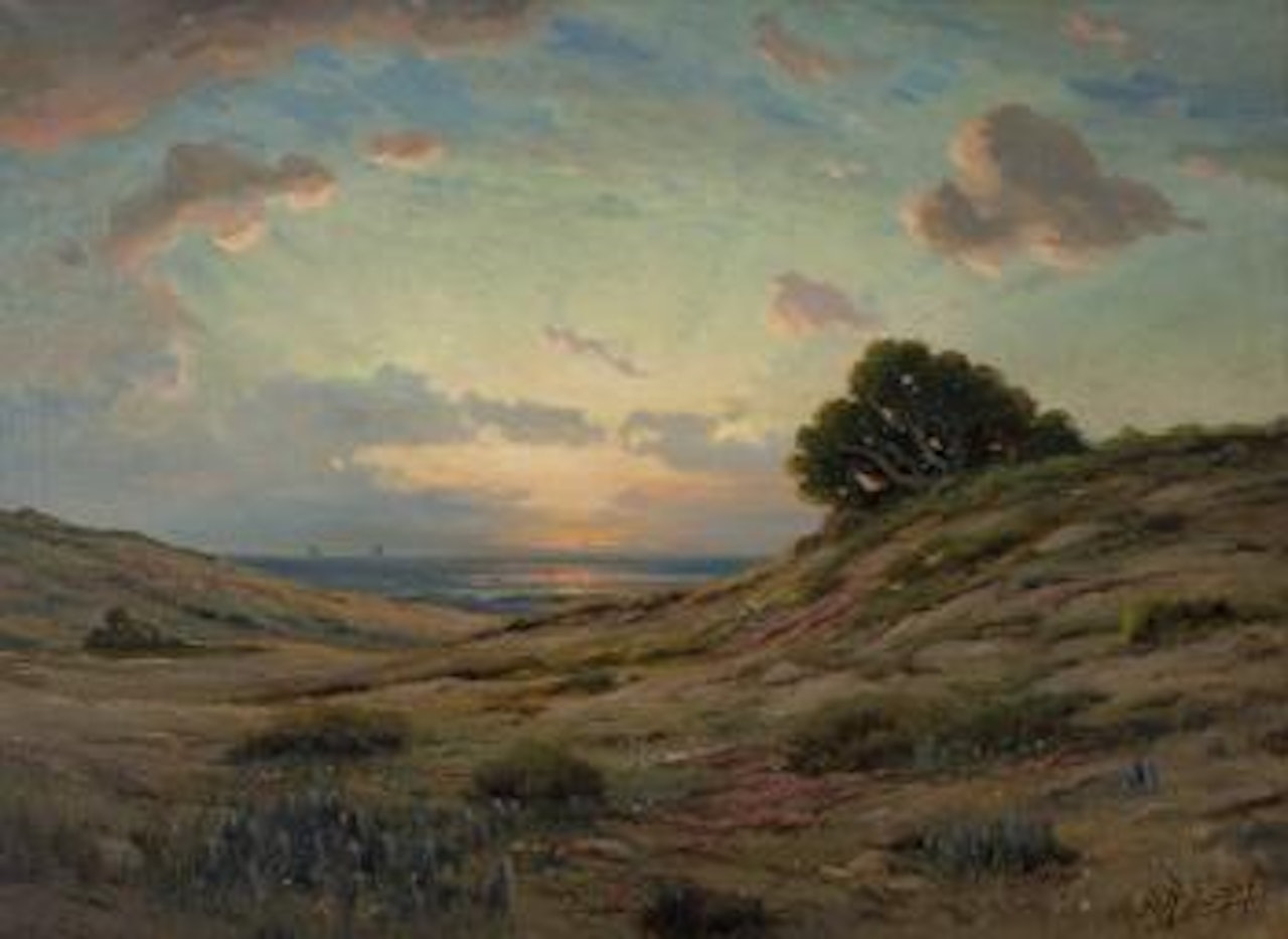 Coastal landscape with hills by Angel Espoy