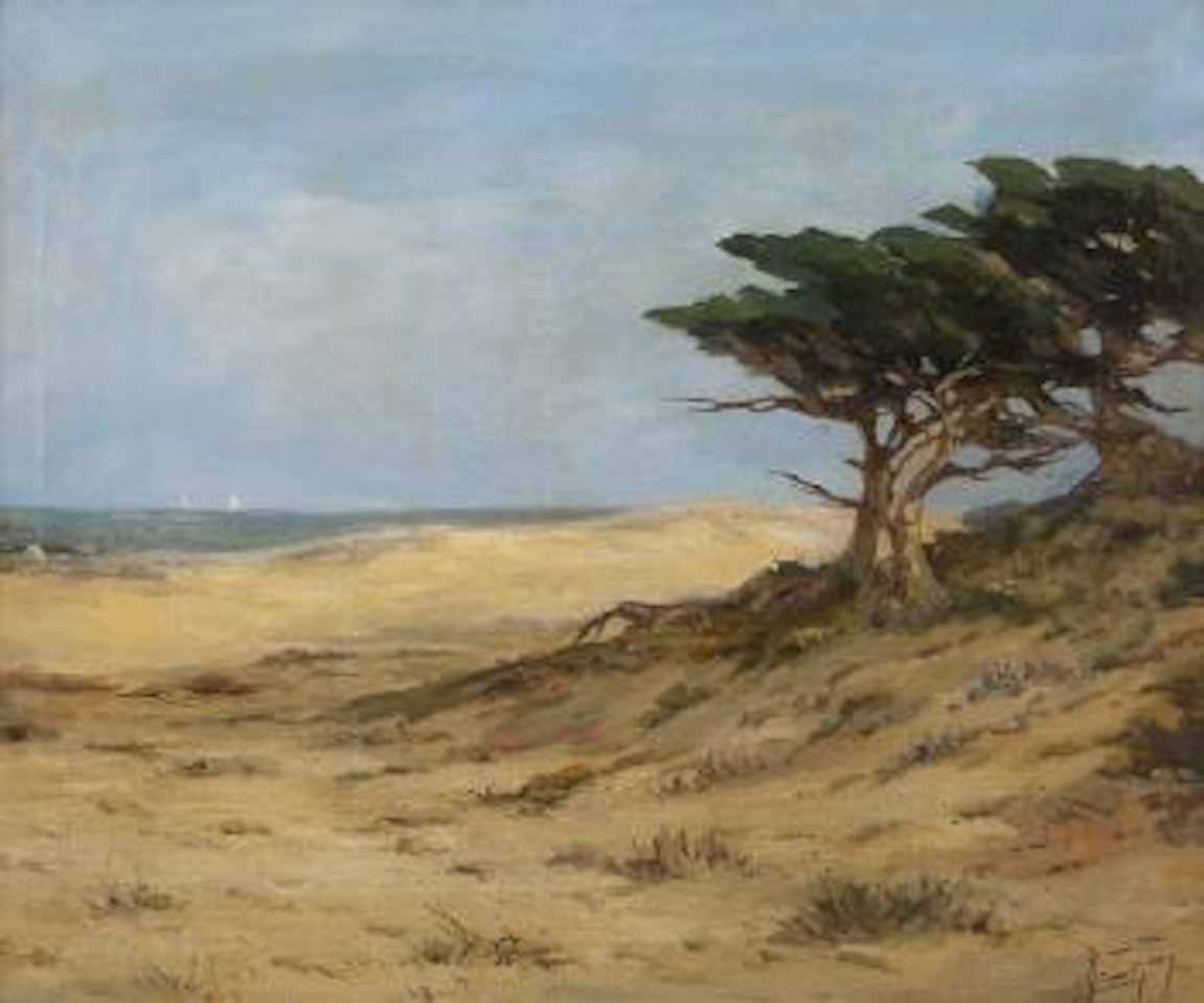 Cypress trees near coastal dunes by Angel Espoy