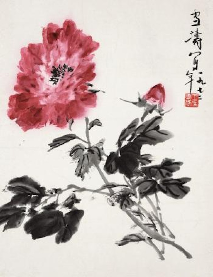 Peony by Wang Xuetao