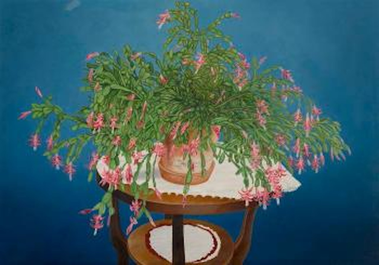 Schlumbergera by Adolf Dietrich