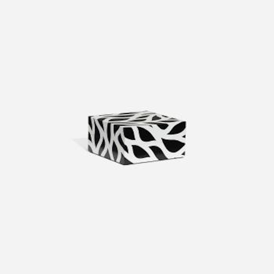 Loopy Doopy Box by Sol LeWitt
