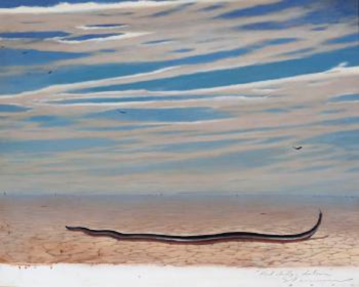 Red Belly + Distance by Tim Storrier