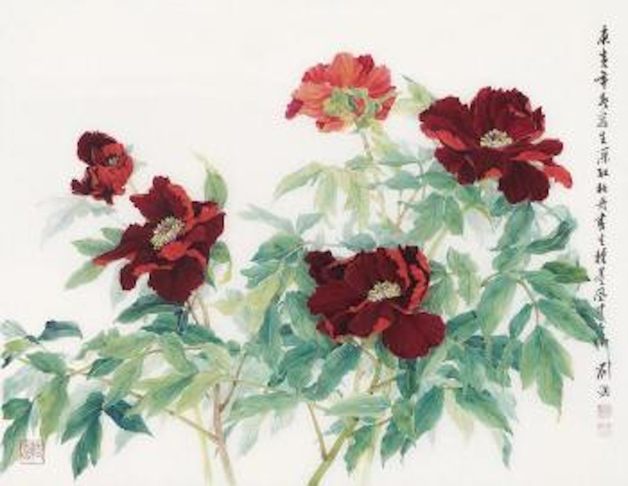 Peony by Liu Yong