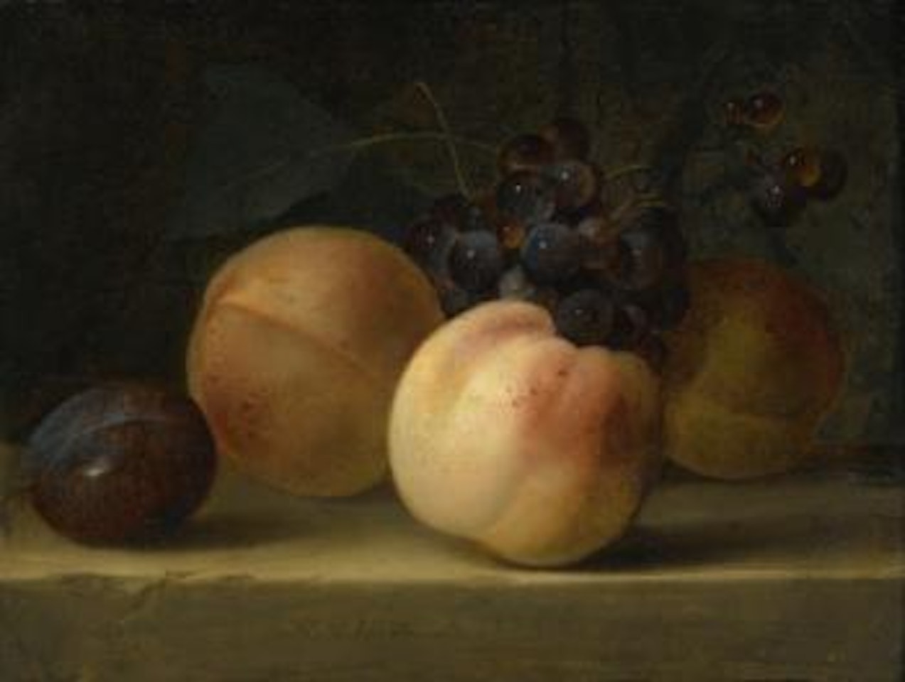 Peaches, a plum, and grapes on a ledge by Willem van Aelst