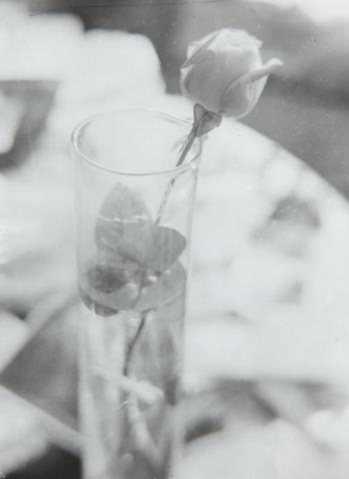Rose in Glass by Josef Sudek