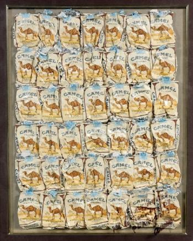 Camel by Arman by César