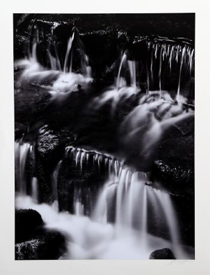 Fern spring, dusk by Ansel Adams