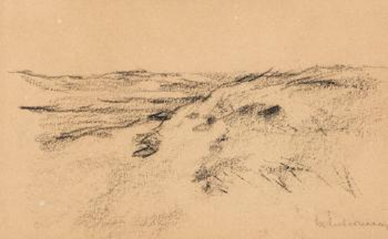 Dünenlandschaft (Studie zu 'Karre in den Dunen') by Max Liebermann