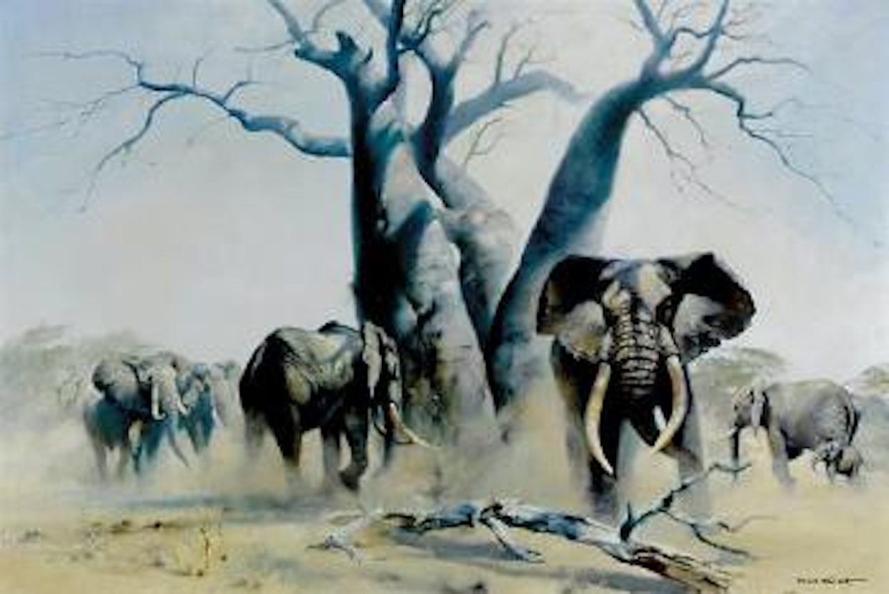 Charging elephants by Donald Grant