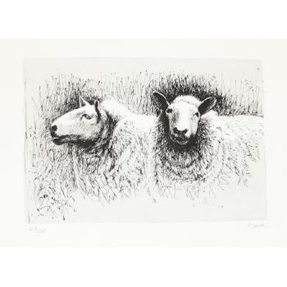 Sheep before shearing (C. 391) by Henry Moore
