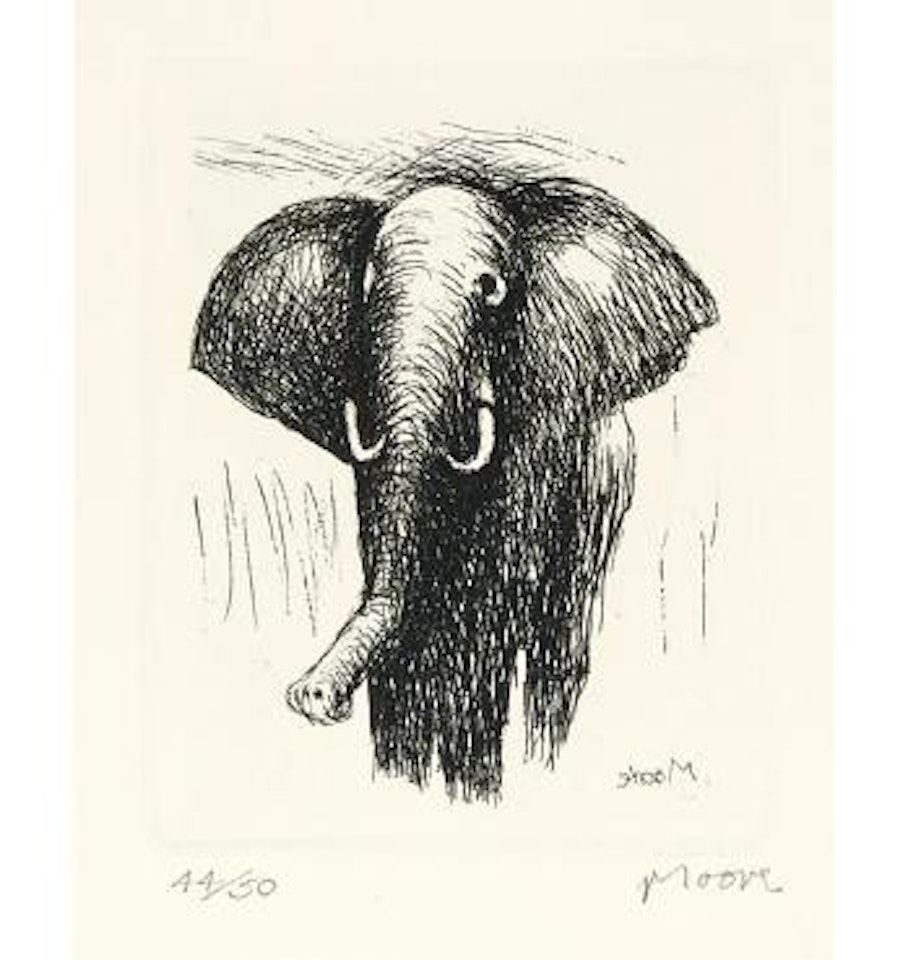 Elephant (C.646) by Henry Moore