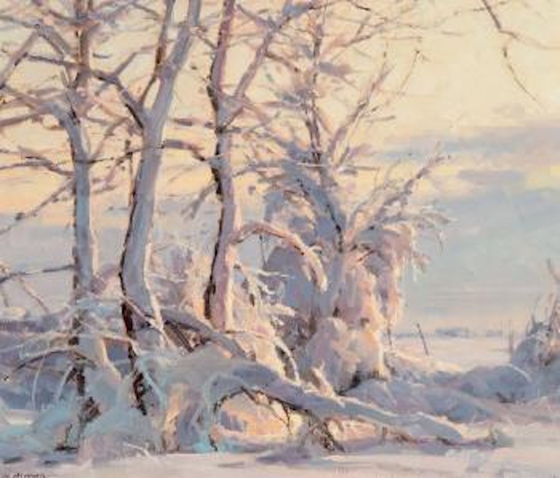 Snow by Clyde Aspevig