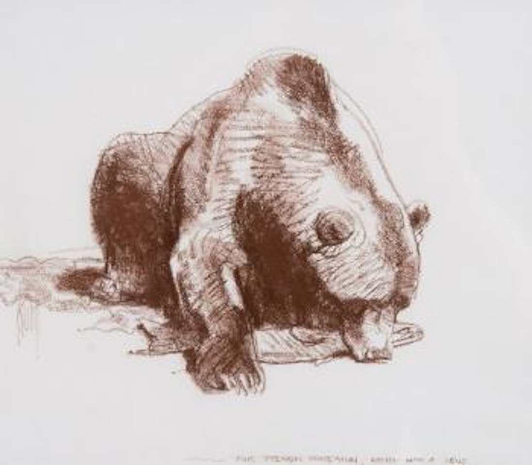 Bear by Bob Kuhn