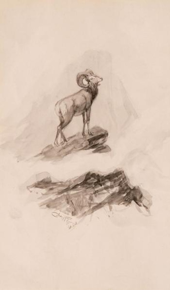 Ram by Charles M Russell