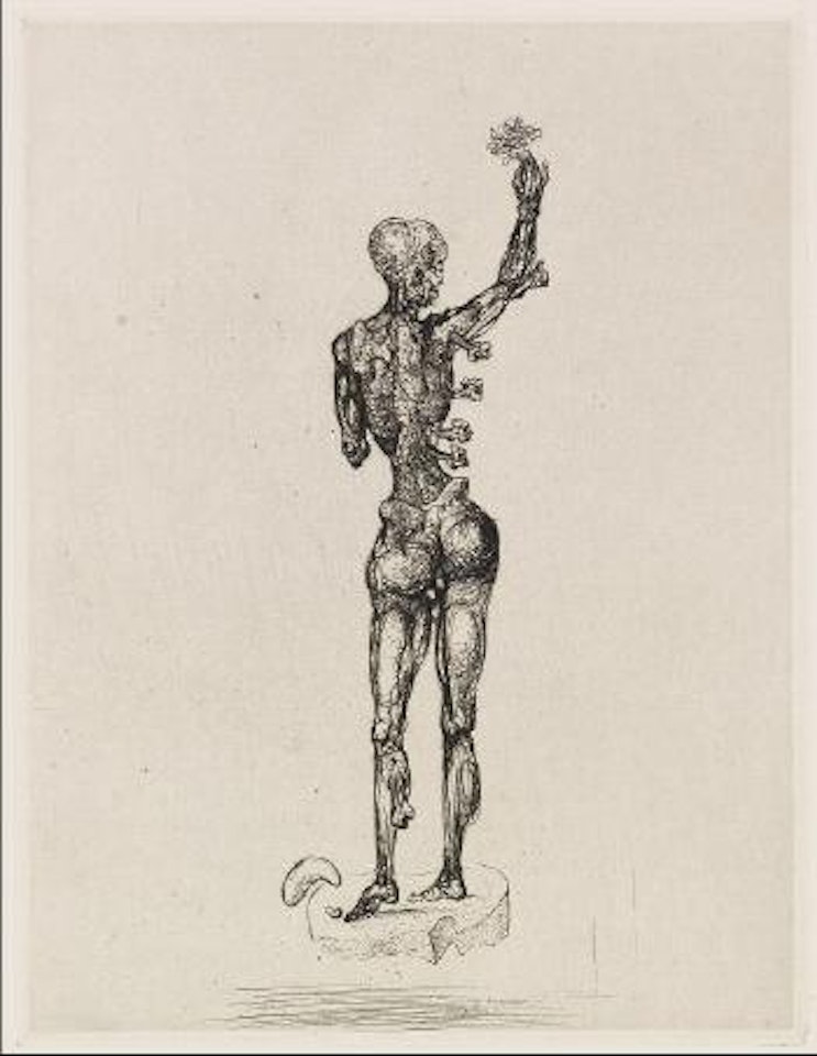 L'Homme au Fleur by Salvador Dali