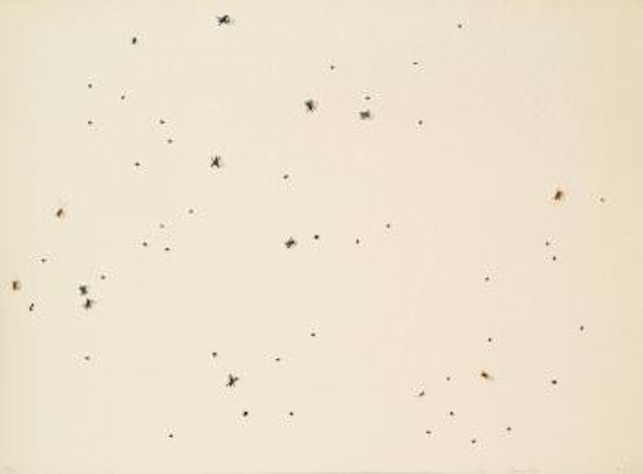Pearl Dust Combination (from Insects Portfolio) by Ed Ruscha