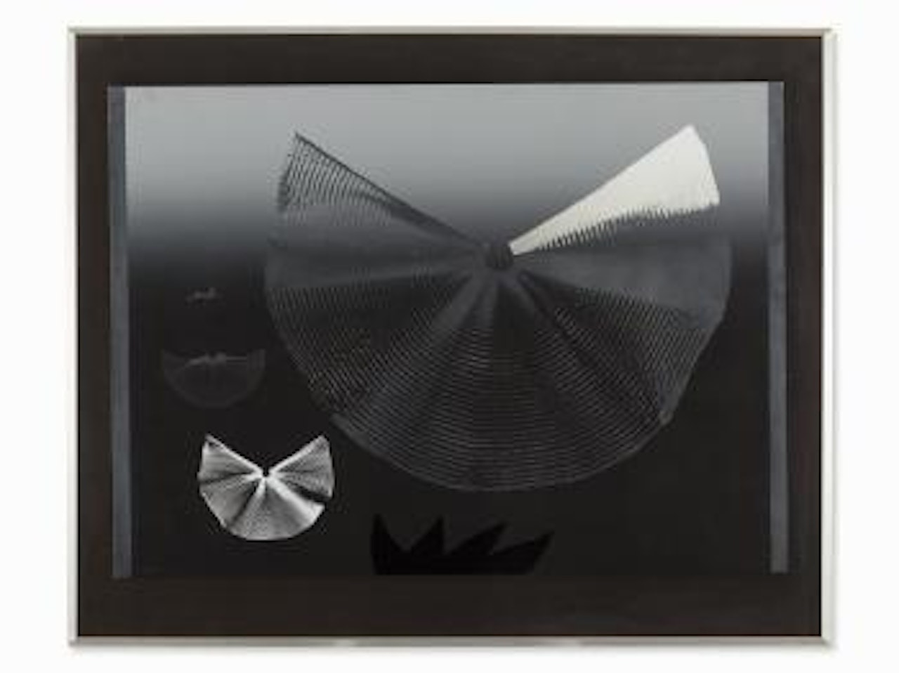Silberflügel Auf Schwarzem Grund by Heinz Mack