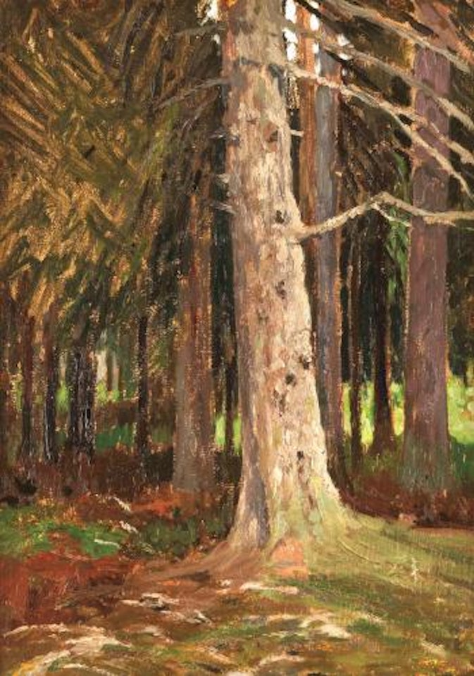 Baumstudie by Hans am Ende