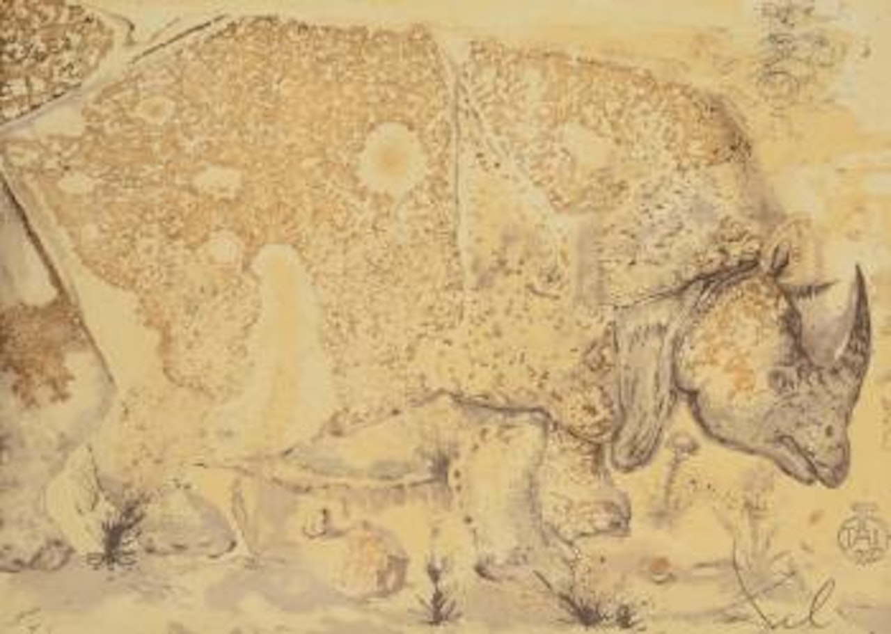 Rhinoceros by Salvador Dali