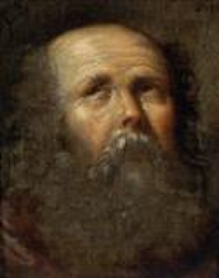 Tronie of a bearded male head by Peter Paul Rubens