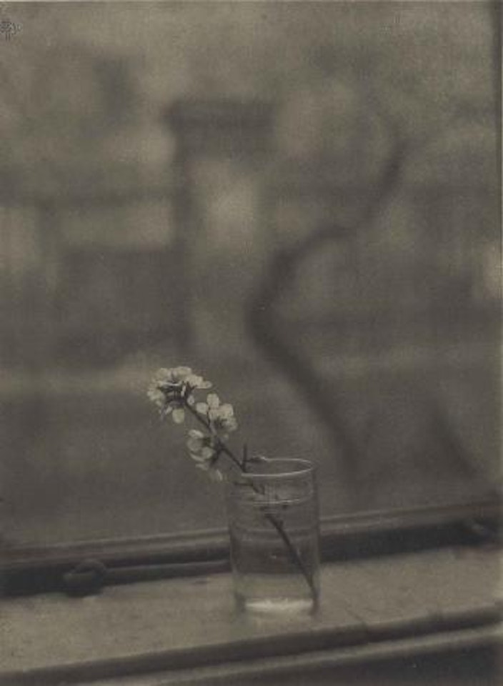 Bouquet, 1950 by Josef Sudek